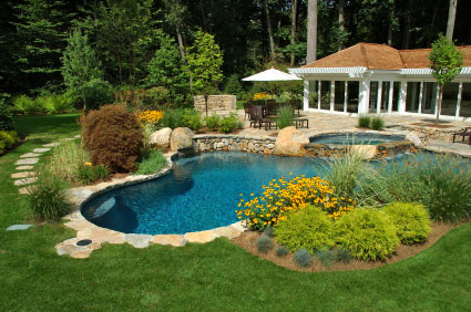 piscine avec v�g�tation