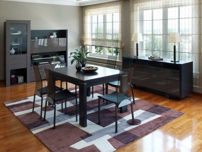 salon grande fen�tre