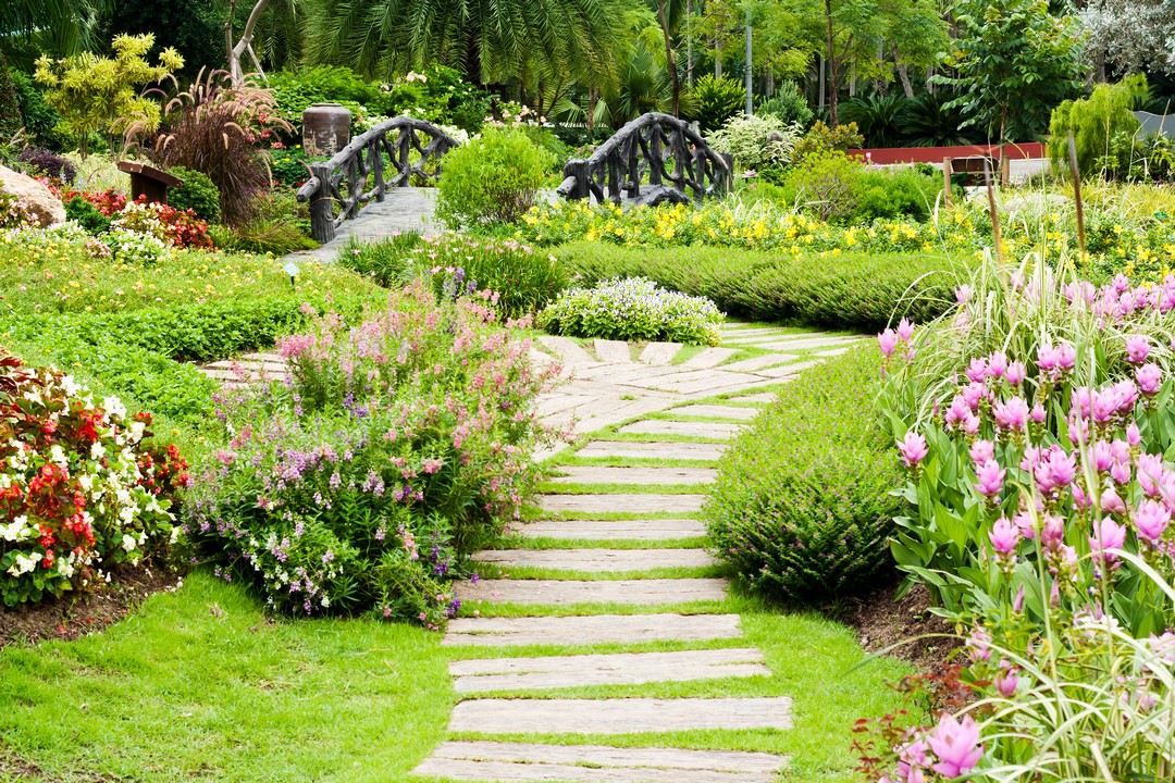 Jardin à l'anglaise