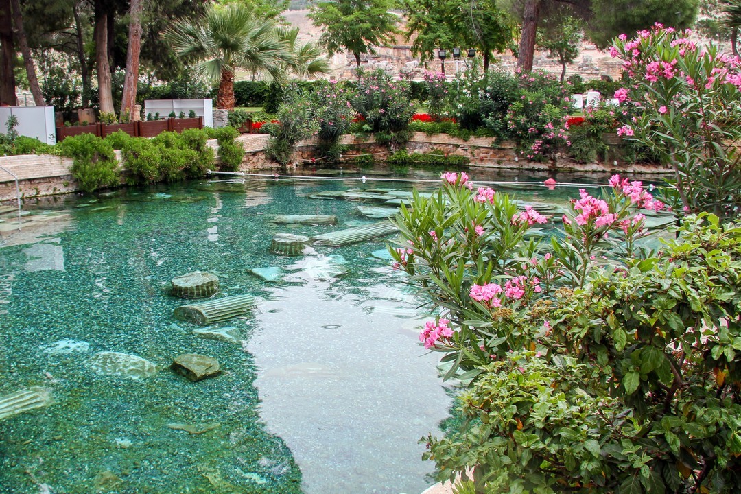 Piscine naturelle